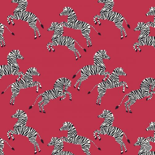 Tissu Coton - ZEBRAS -JUST ZEBRAS - CLOUD9 (vendu x10cm) Tissus CLOUD 9 | Gaspard et Léonie Tissus en ligne et Mercerie à Toulouse