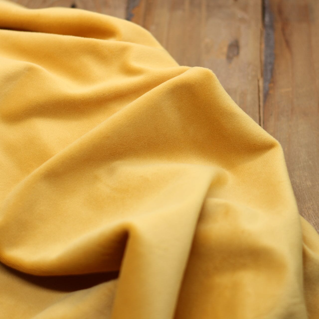 Tissu Jersey velours Ras - Jaune Ocre (Vendu x10cm) Tissus katia Fabrics | Gaspard et Léonie Tissus en ligne et Mercerie à Toulouse